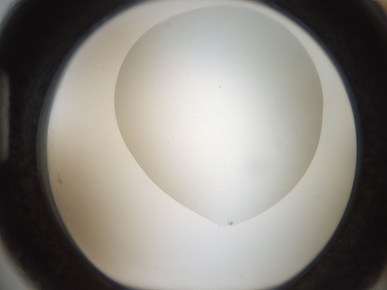 folderID381_plateID2381_batchID11228_wellNum89_profileID1_d1_r175835_ef.jpg