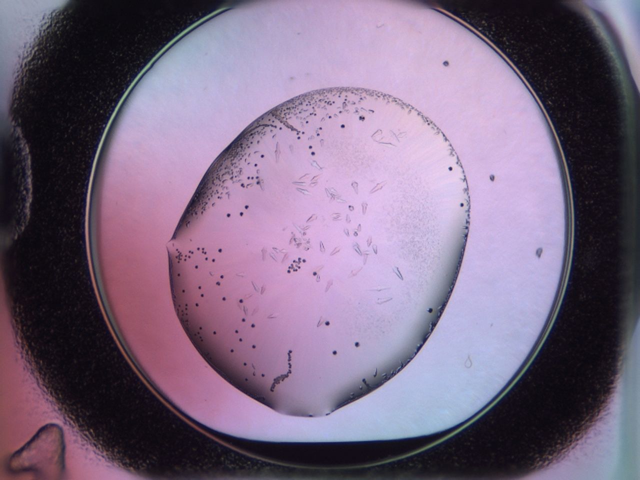 02km_D11_ImagerDefaults_9.jpg