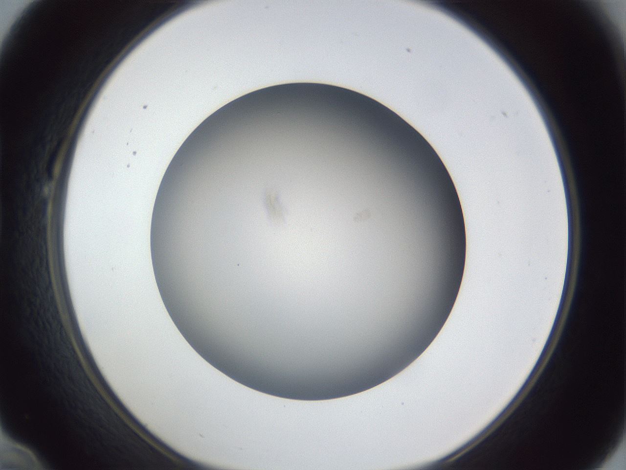 folderID383_plateID1383_batchID4985_wellNum22_profileID1_d1_r84517_ef.jpg