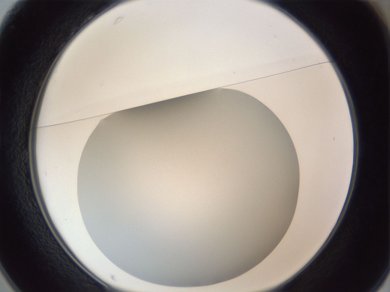folderID383_plateID1383_batchID4985_wellNum25_profileID1_d1_r84520_ef.jpg