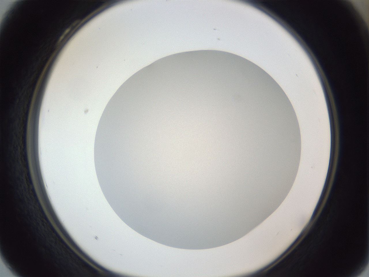 folderID383_plateID1383_batchID4985_wellNum28_profileID1_d1_r84523_ef.jpg