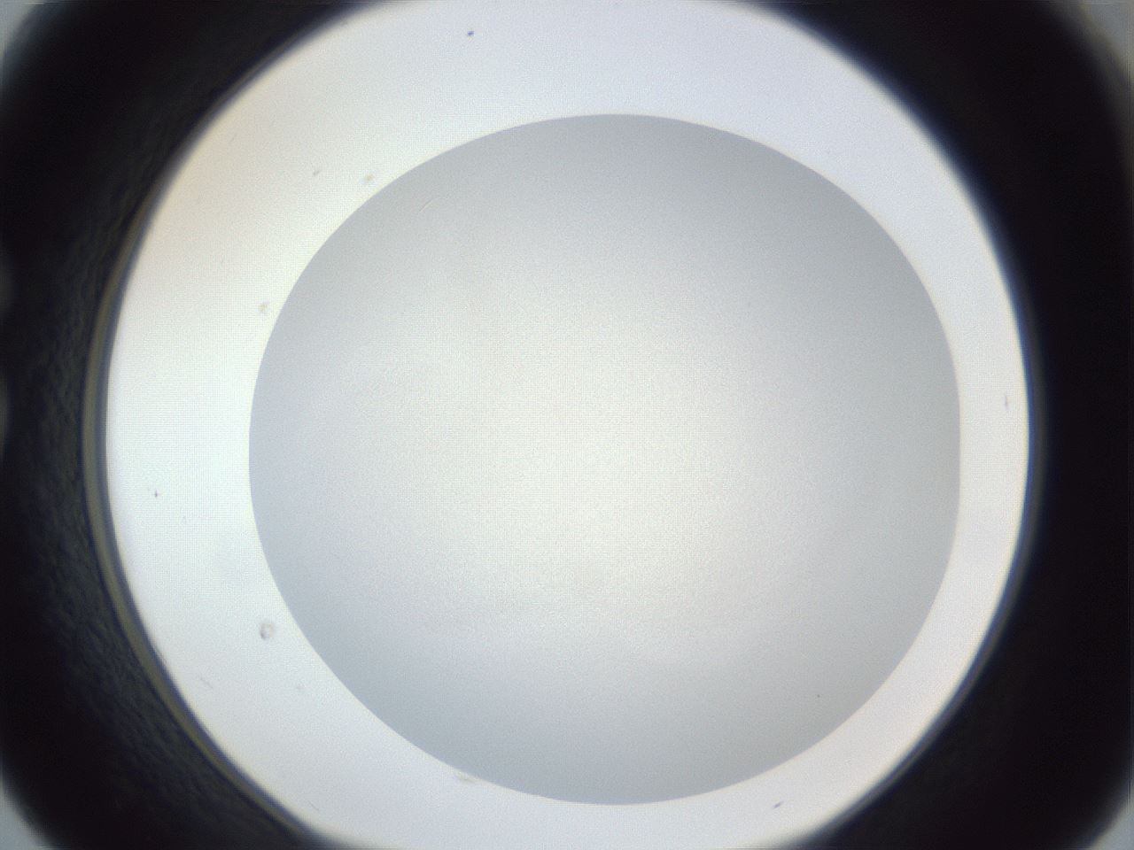folderID383_plateID1383_batchID4985_wellNum30_profileID1_d1_r84525_ef.jpg
