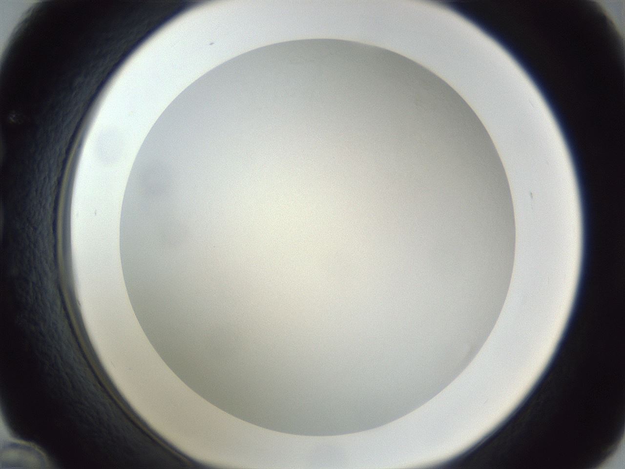 folderID383_plateID1383_batchID4985_wellNum36_profileID1_d1_r84531_ef.jpg
