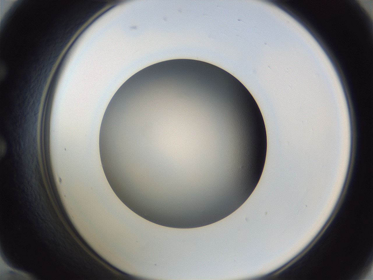 folderID383_plateID1383_batchID4985_wellNum60_profileID1_d1_r84555_ef.jpg