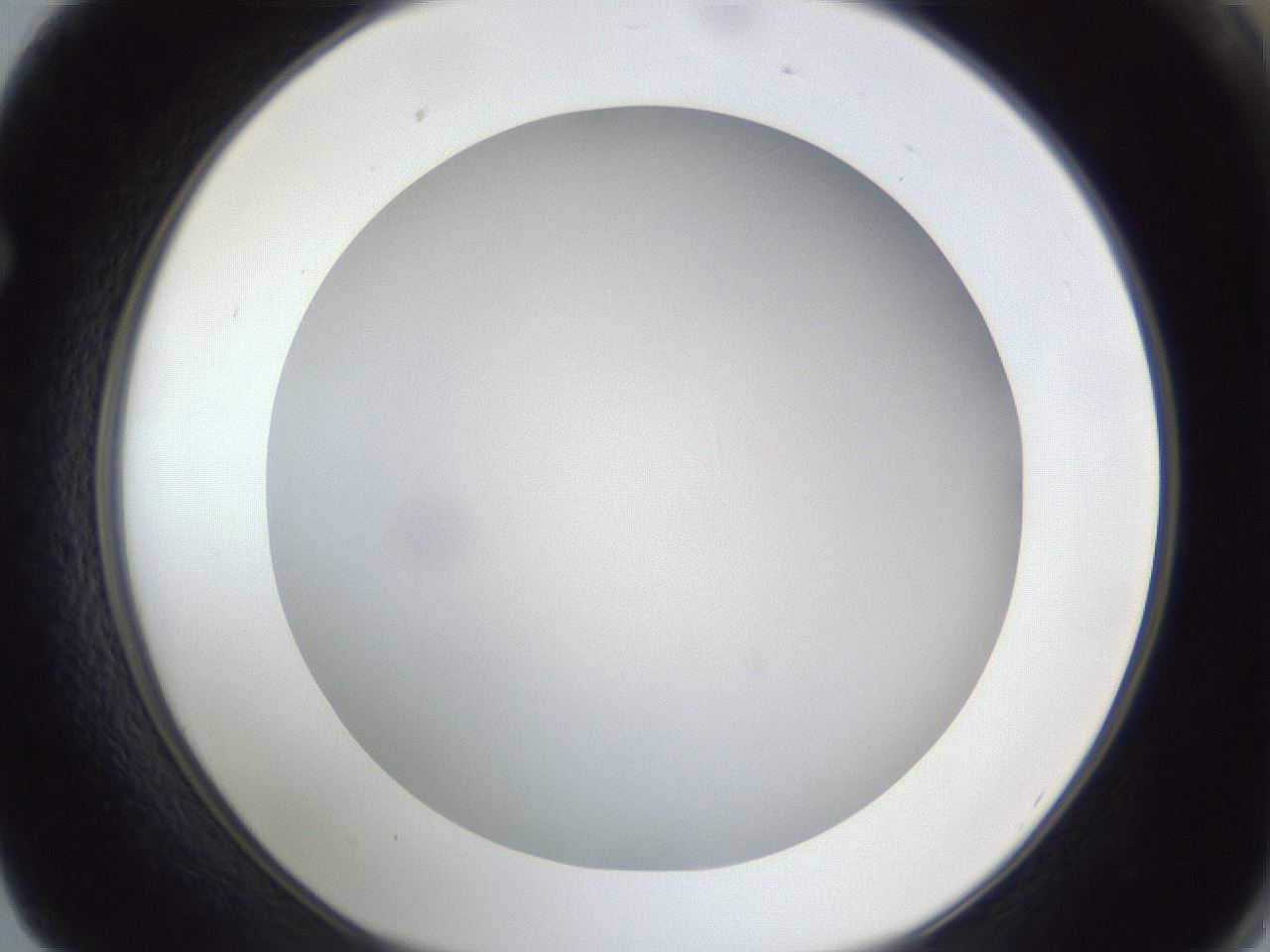 folderID383_plateID1383_batchID4985_wellNum62_profileID1_d1_r84557_ef.jpg