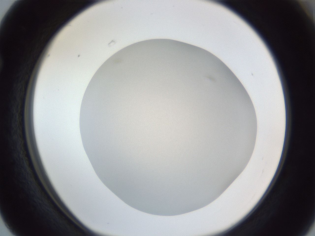 folderID383_plateID1383_batchID4985_wellNum63_profileID1_d1_r84558_ef.jpg