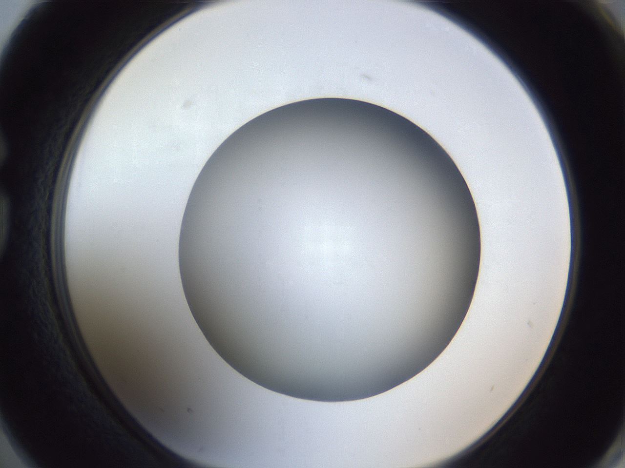 folderID383_plateID1383_batchID4985_wellNum74_profileID1_d1_r84569_ef.jpg