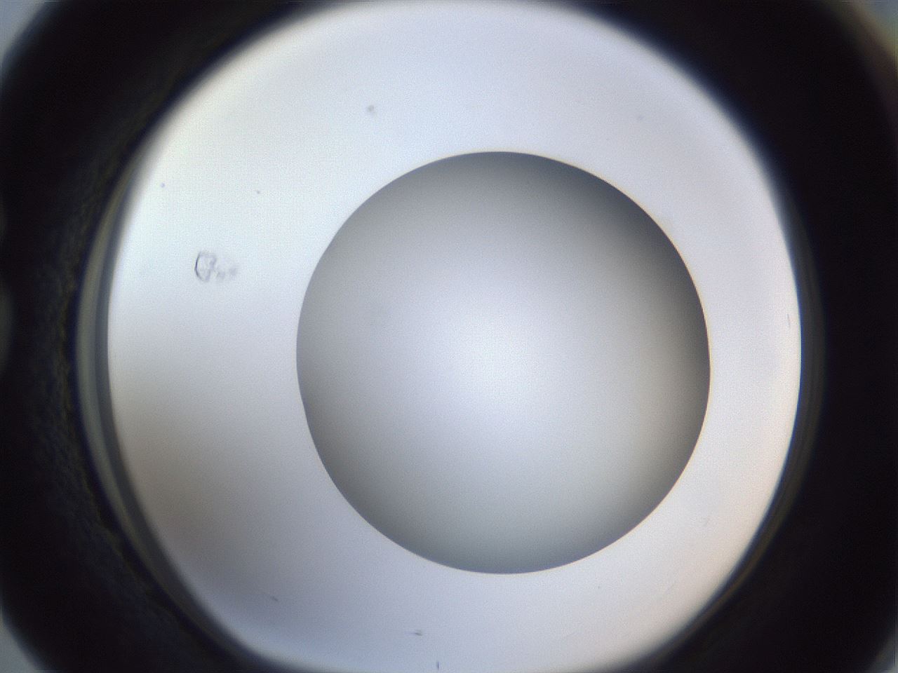 folderID383_plateID1383_batchID4985_wellNum76_profileID1_d1_r84571_ef.jpg