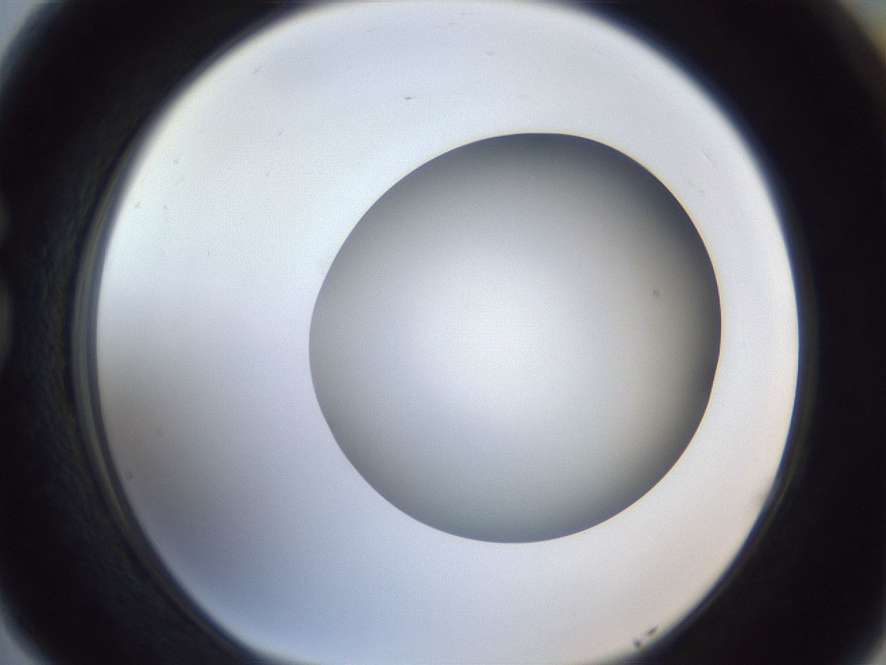 folderID383_plateID1383_batchID4985_wellNum77_profileID1_d1_r84572_ef.jpg