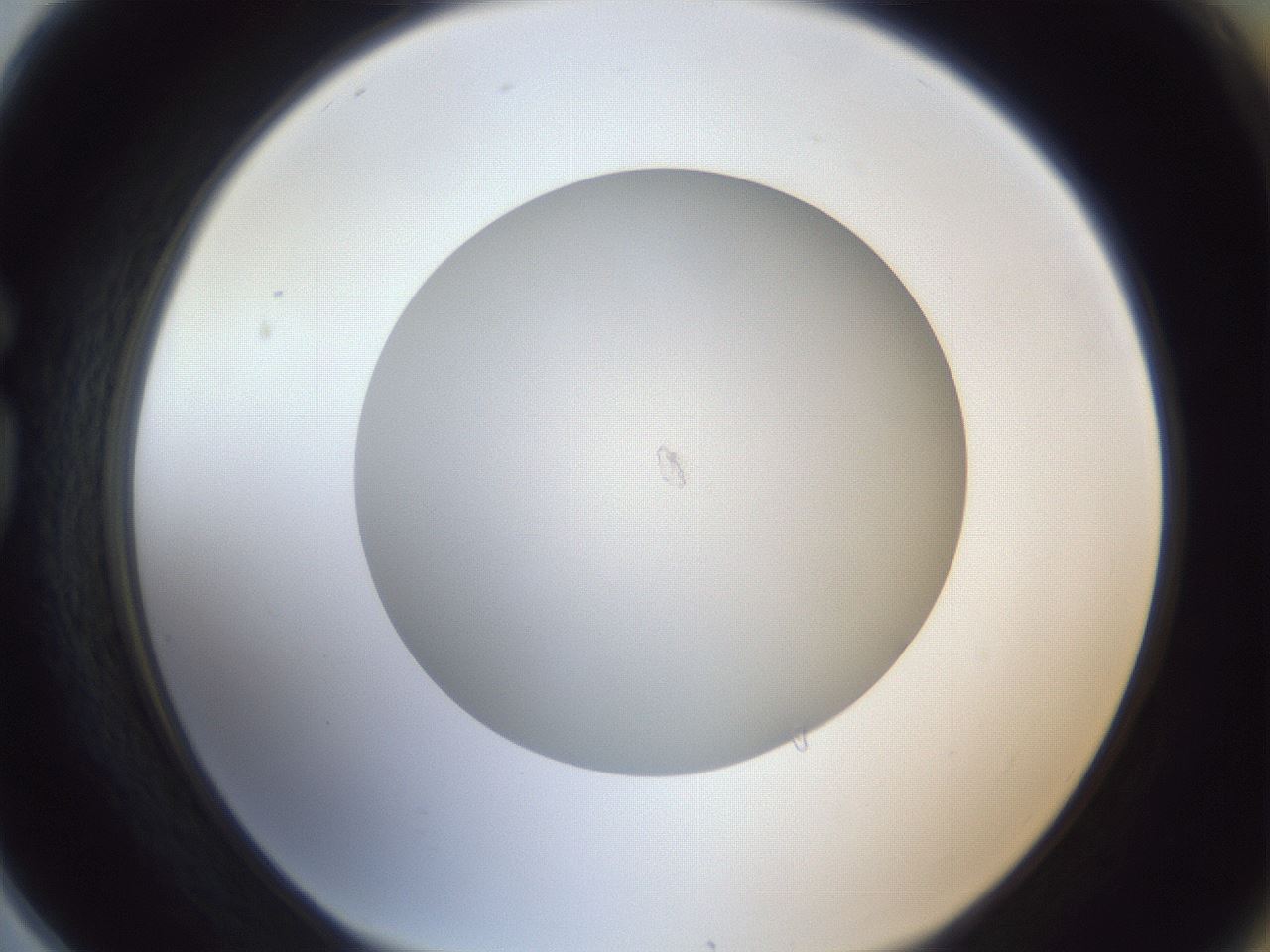 folderID383_plateID1383_batchID4985_wellNum78_profileID1_d1_r84573_ef.jpg