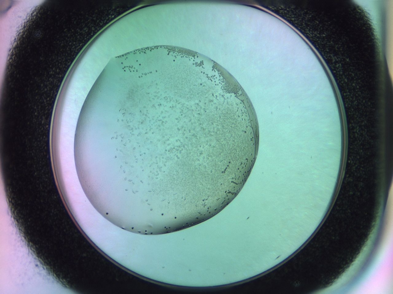 02km_C8_ImagerDefaults_9.jpg