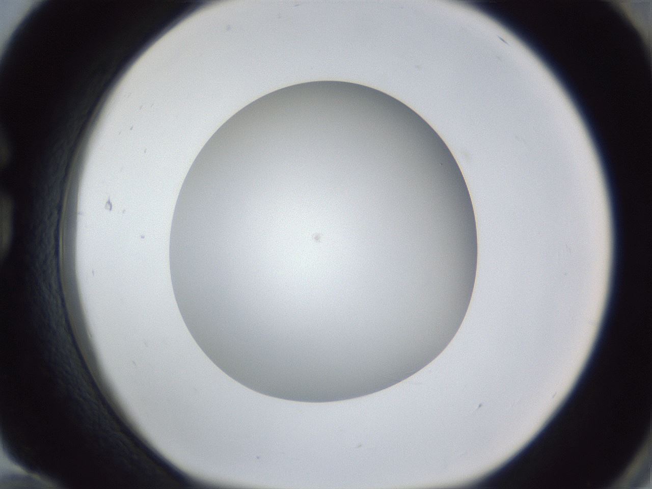 folderID383_plateID1383_batchID4985_wellNum84_profileID1_d1_r84579_ef.jpg