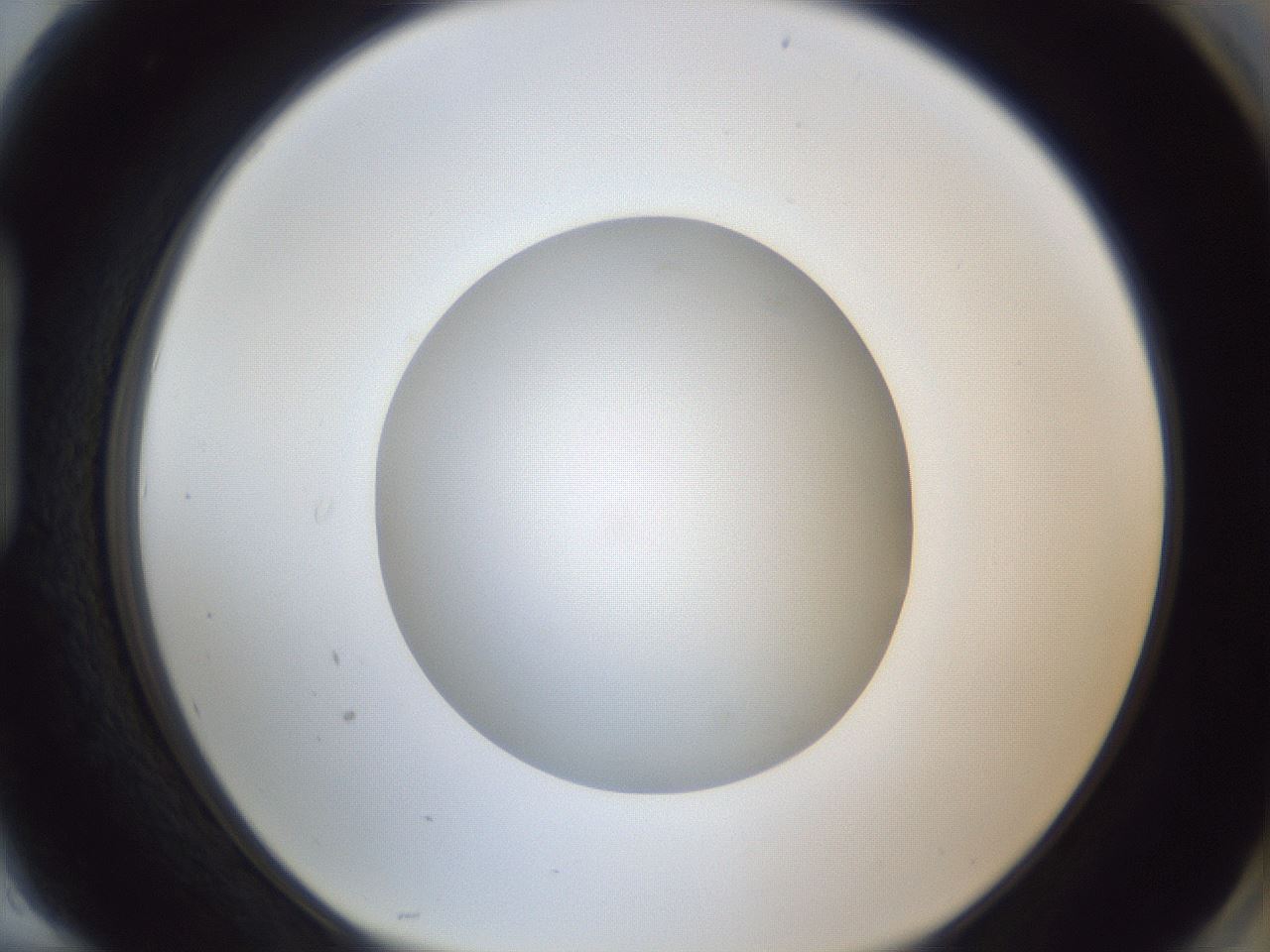 folderID383_plateID1383_batchID4985_wellNum94_profileID1_d1_r84589_ef.jpg