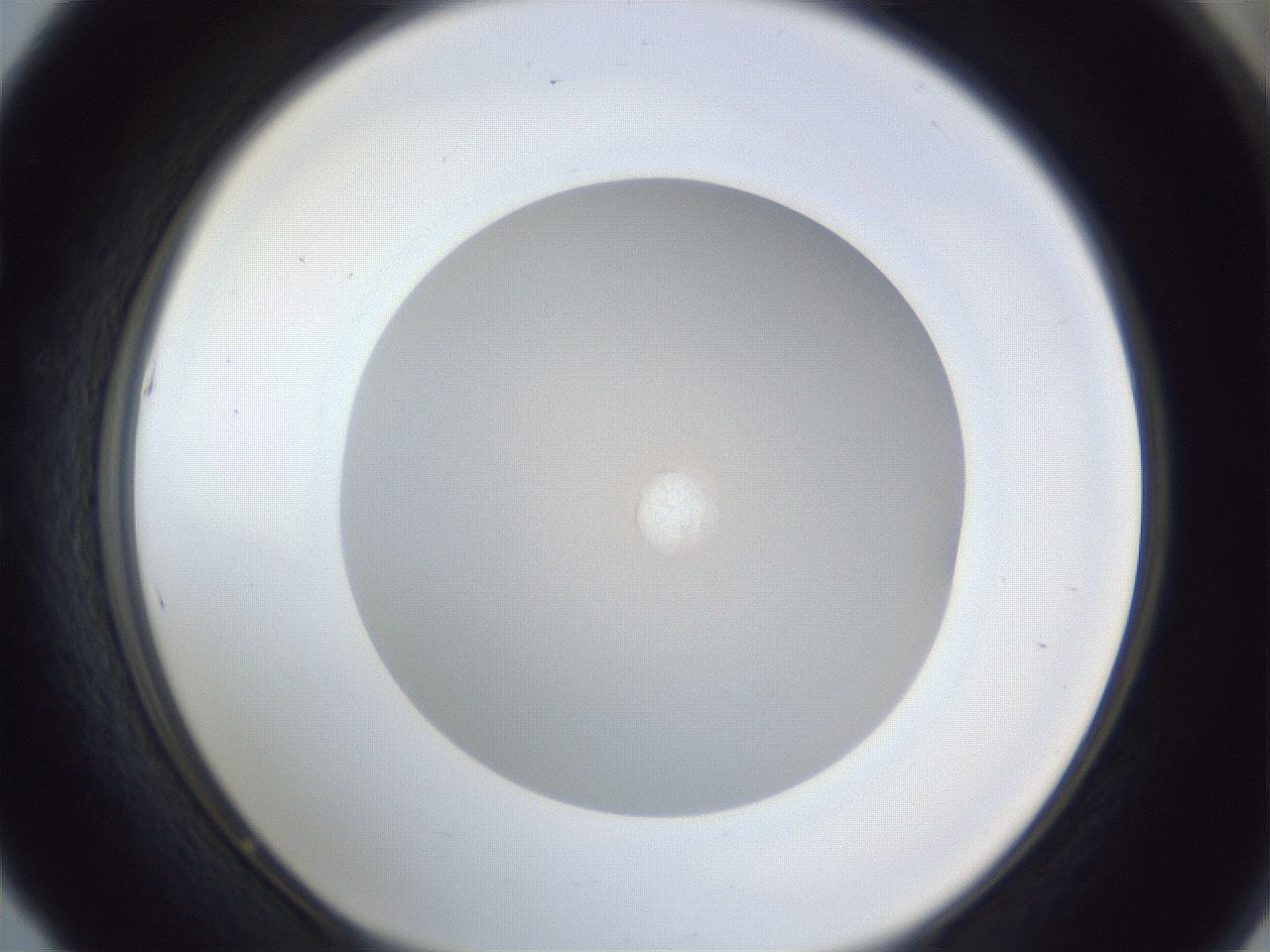 folderID383_plateID1383_batchID4985_wellNum53_profileID1_d1_r84548_ef.jpg
