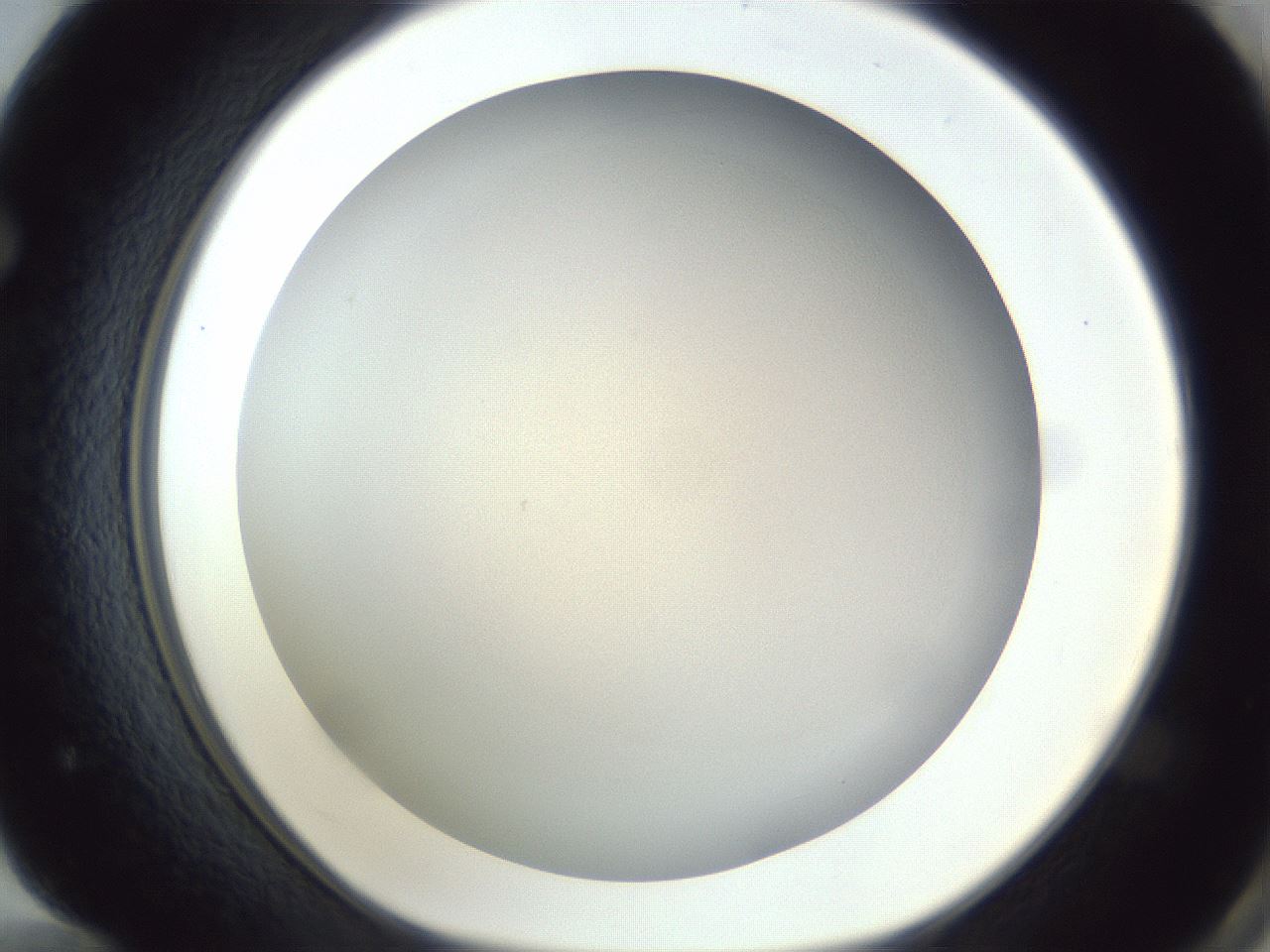 folderID383_plateID1383_batchID4985_wellNum72_profileID1_d1_r84567_ef.jpg
