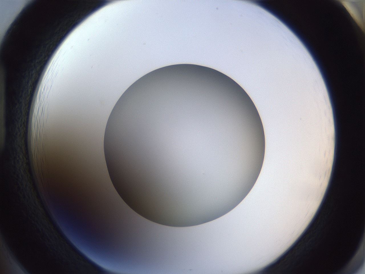 folderID383_plateID1383_batchID4985_wellNum85_profileID1_d1_r84580_ef.jpg