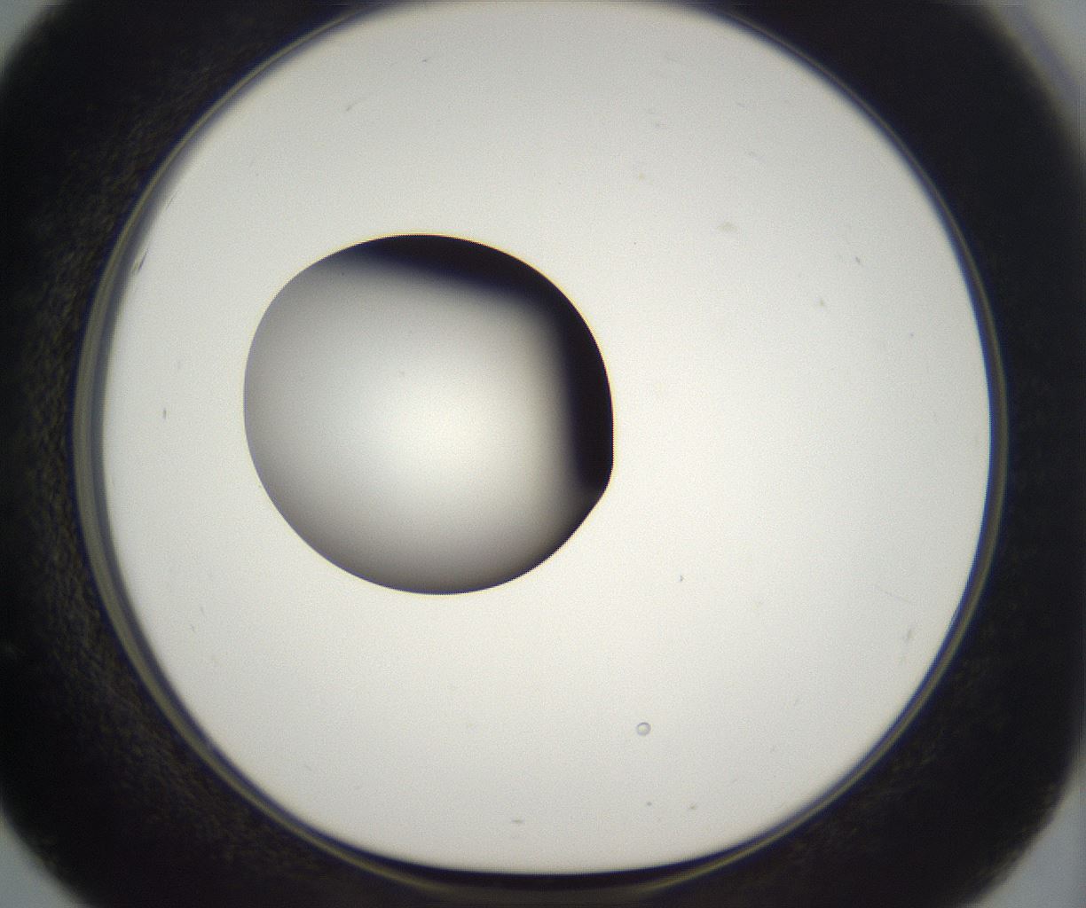 folderID383_plateID2383_batchID11267_wellNum51_profileID1_d1_r176661_ef.jpg
