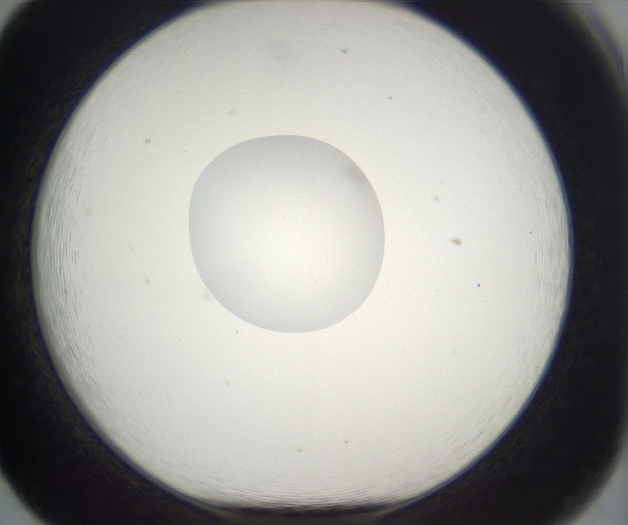 folderID383_plateID2383_batchID11267_wellNum65_profileID1_d1_r176675_ef.jpg