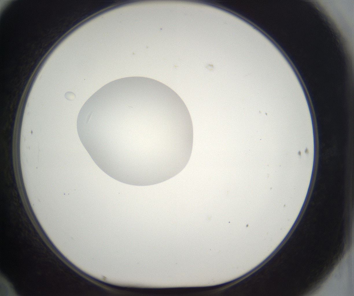 folderID383_plateID2383_batchID11267_wellNum70_profileID1_d1_r176680_ef.jpg
