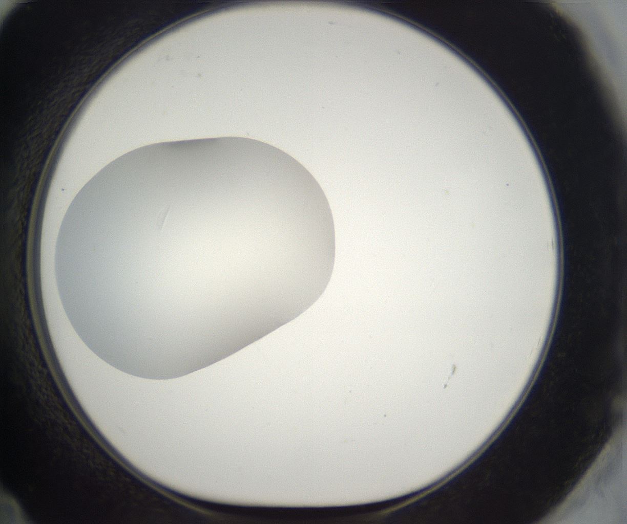 folderID383_plateID2383_batchID11267_wellNum72_profileID1_d1_r176682_ef.jpg