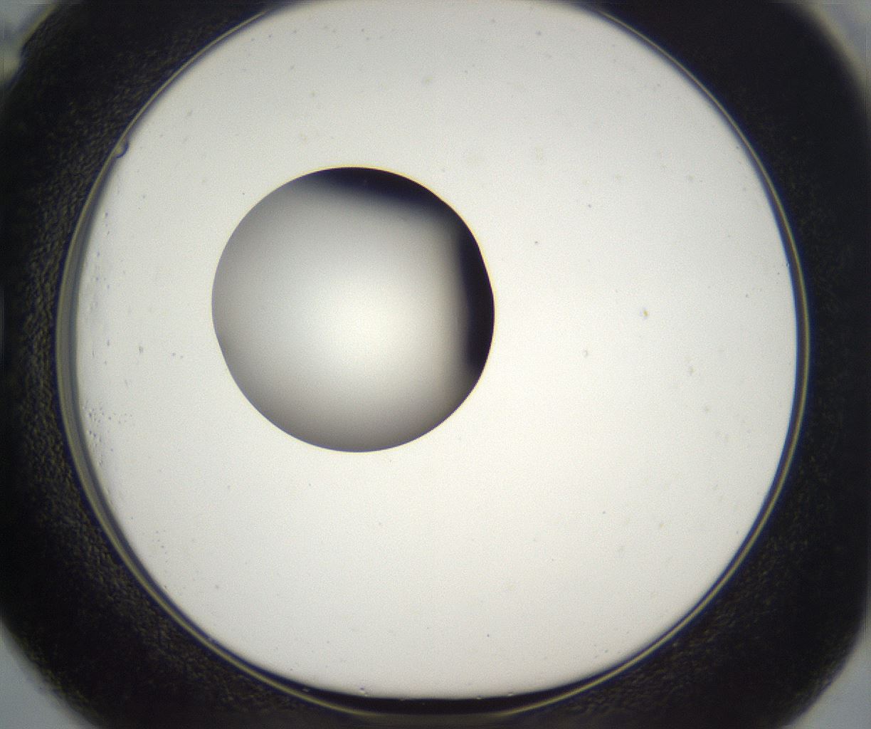 folderID383_plateID2383_batchID11267_wellNum73_profileID1_d1_r176683_ef.jpg