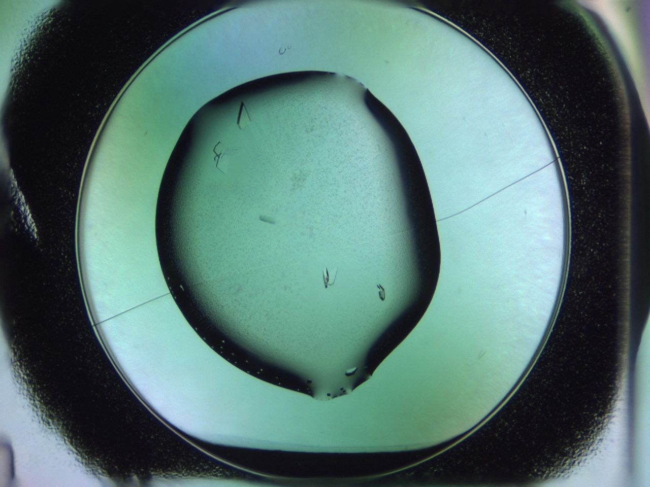 02km_A4_ImagerDefaults_9.jpg