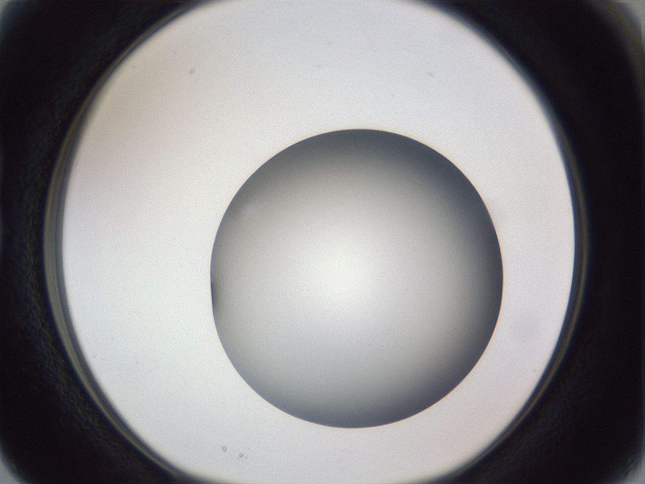 folderID384_plateID1384_batchID4986_wellNum15_profileID1_d1_r84606_ef.jpg
