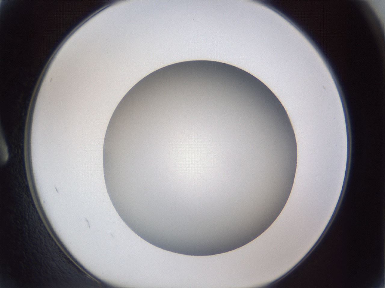 folderID384_plateID1384_batchID4986_wellNum2_profileID1_d1_r84593_ef.jpg