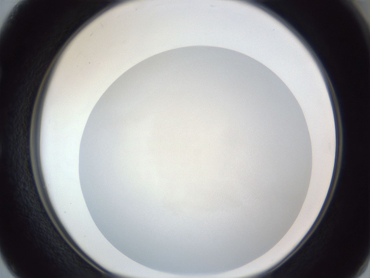 folderID384_plateID1384_batchID4986_wellNum50_profileID1_d1_r84641_ef.jpg