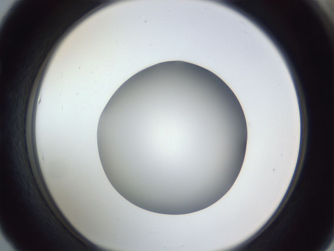 folderID384_plateID1384_batchID4986_wellNum53_profileID1_d1_r84644_ef.jpg