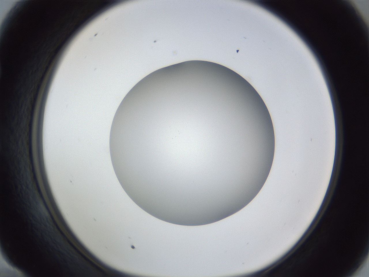 folderID384_plateID1384_batchID4986_wellNum58_profileID1_d1_r84649_ef.jpg