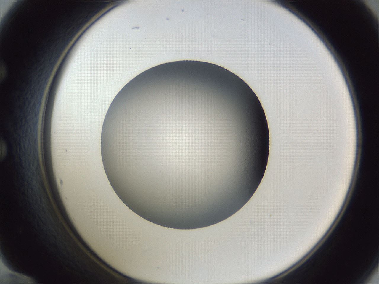 folderID384_plateID1384_batchID4986_wellNum60_profileID1_d1_r84651_ef.jpg