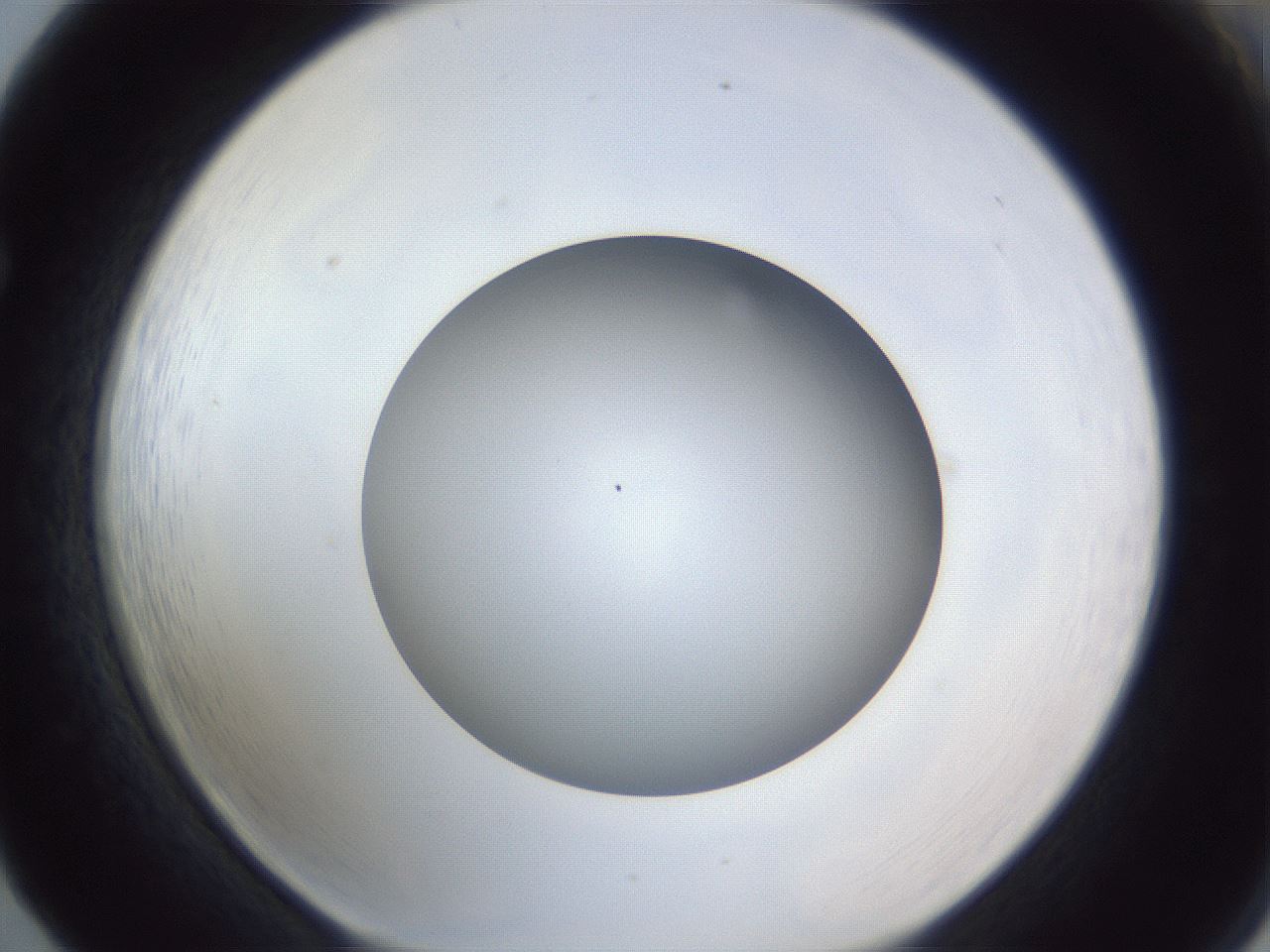 folderID384_plateID1384_batchID4986_wellNum65_profileID1_d1_r84656_ef.jpg
