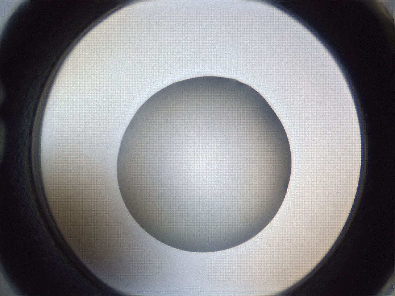 folderID384_plateID1384_batchID4986_wellNum74_profileID1_d1_r84665_ef.jpg