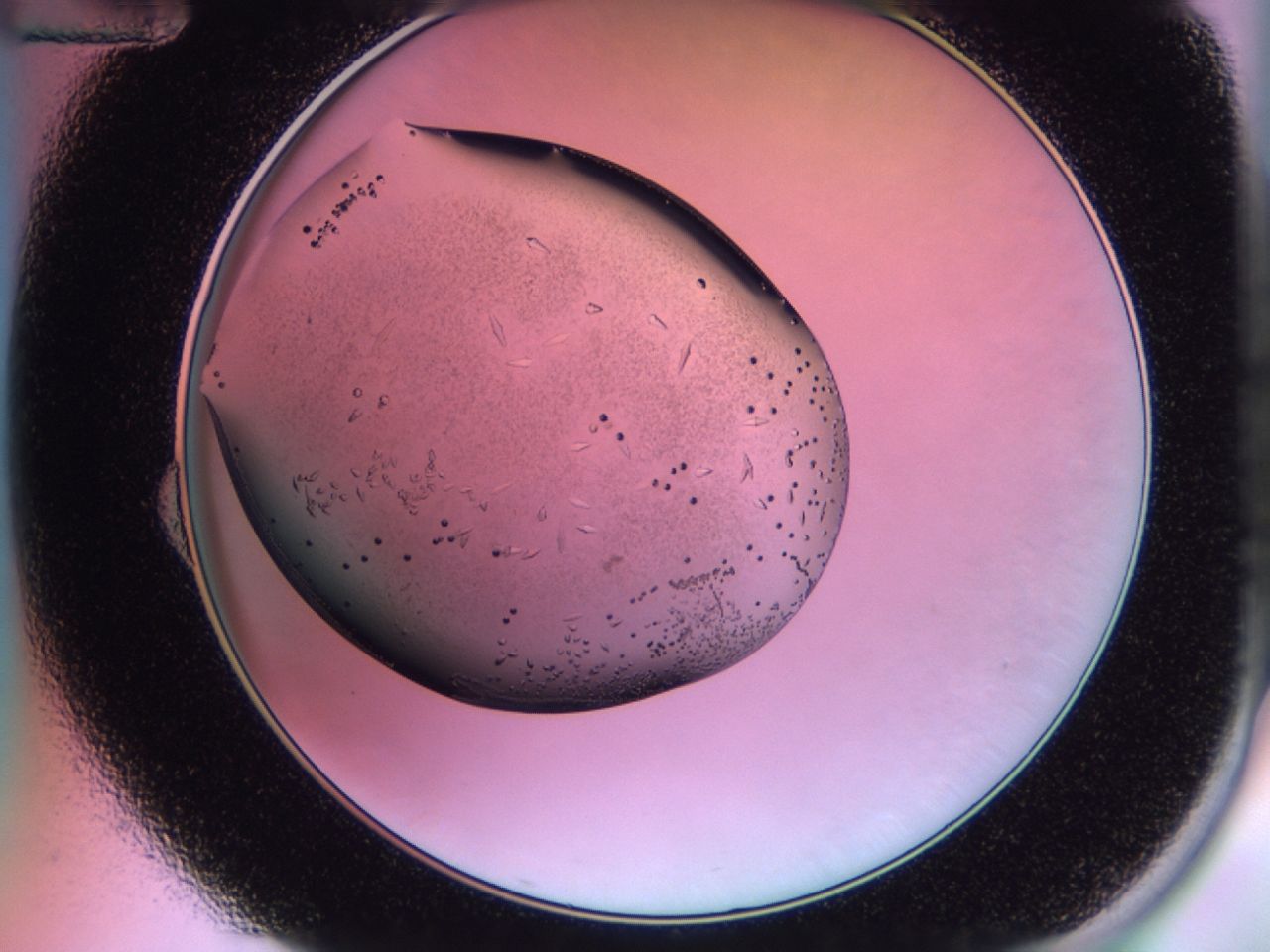 02km_B12_ImagerDefaults_9.jpg