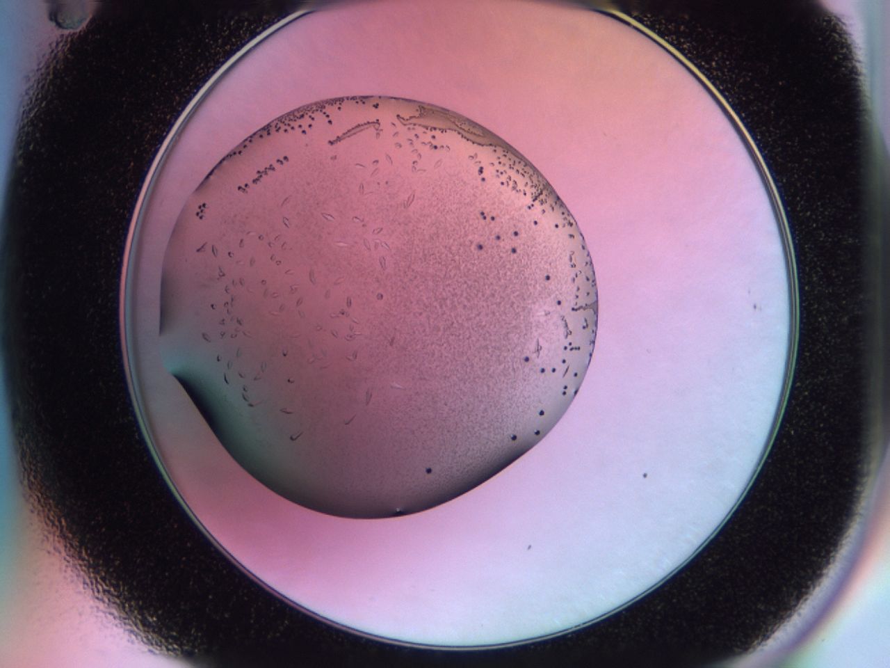 02km_B11_ImagerDefaults_9.jpg