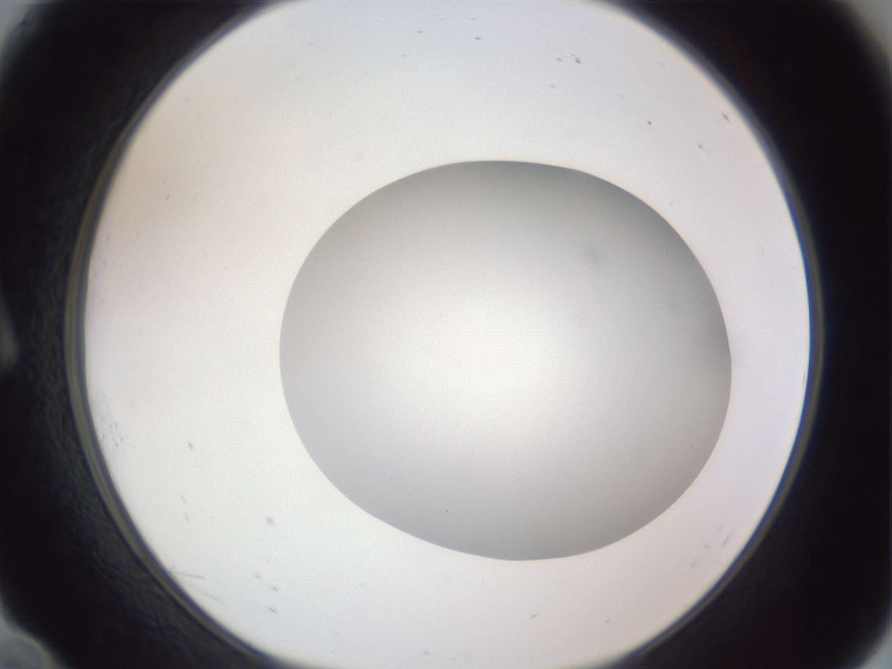 folderID385_plateID1385_batchID4987_wellNum10_profileID1_d1_r84697_ef.jpg