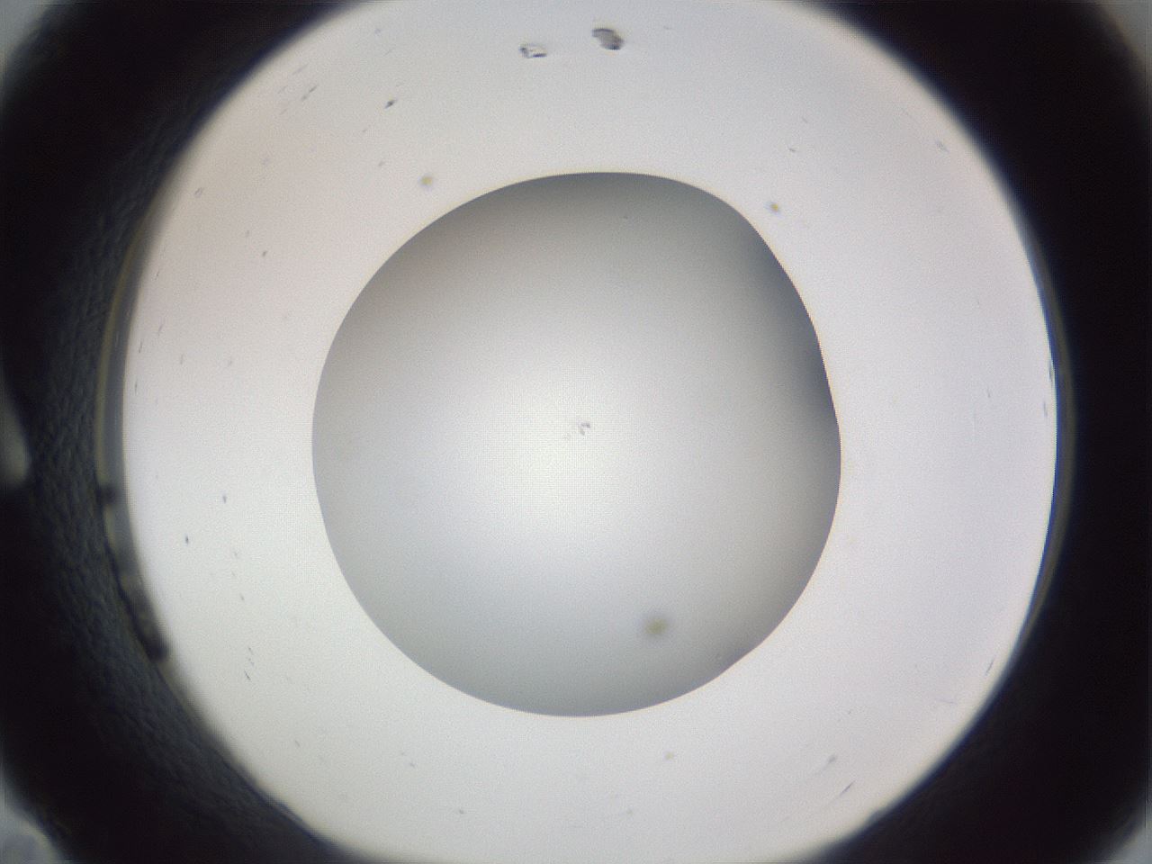 folderID385_plateID1385_batchID4987_wellNum11_profileID1_d1_r84698_ef.jpg