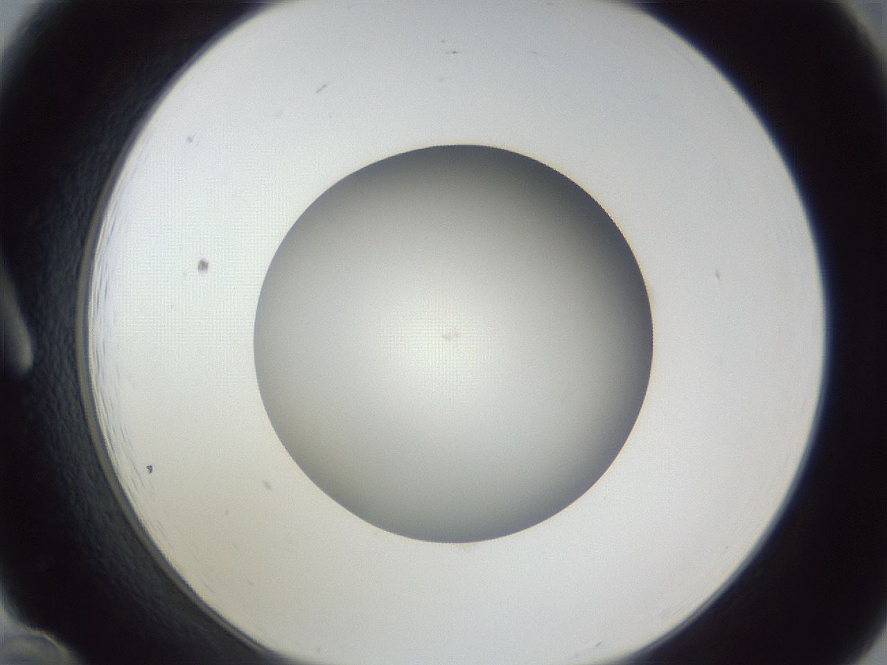 folderID385_plateID1385_batchID4987_wellNum12_profileID1_d1_r84699_ef.jpg