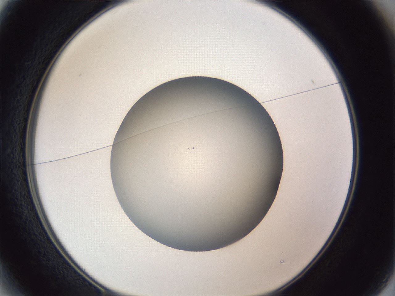 folderID385_plateID1385_batchID4987_wellNum13_profileID1_d1_r84700_ef.jpg