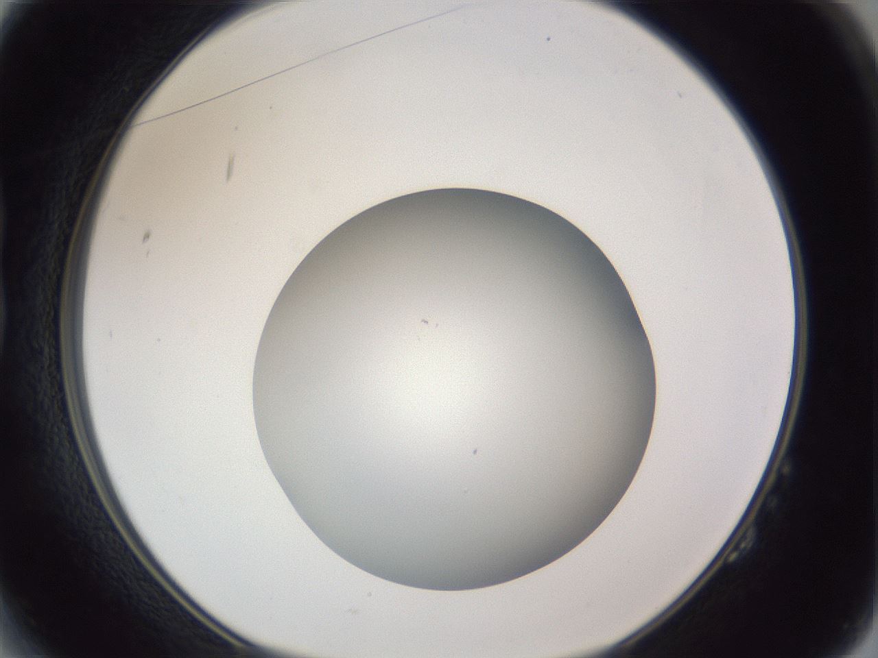folderID385_plateID1385_batchID4987_wellNum14_profileID1_d1_r84701_ef.jpg