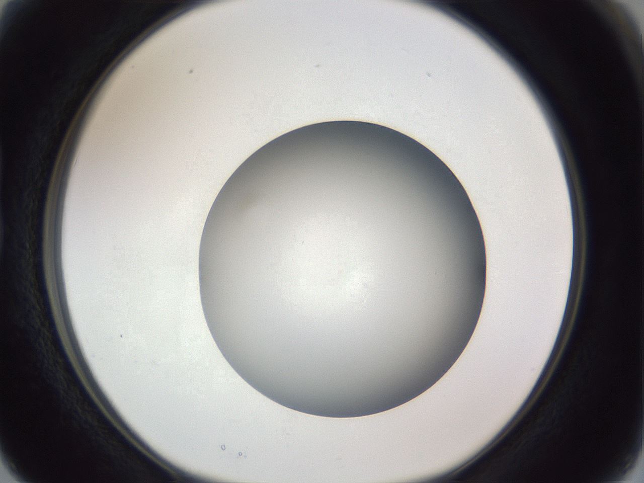 folderID385_plateID1385_batchID4987_wellNum15_profileID1_d1_r84702_ef.jpg
