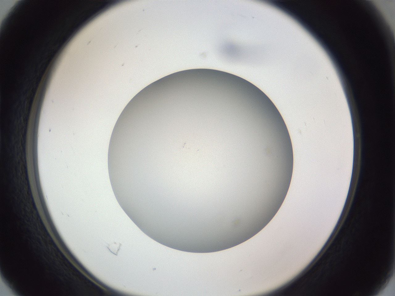 folderID385_plateID1385_batchID4987_wellNum16_profileID1_d1_r84703_ef.jpg