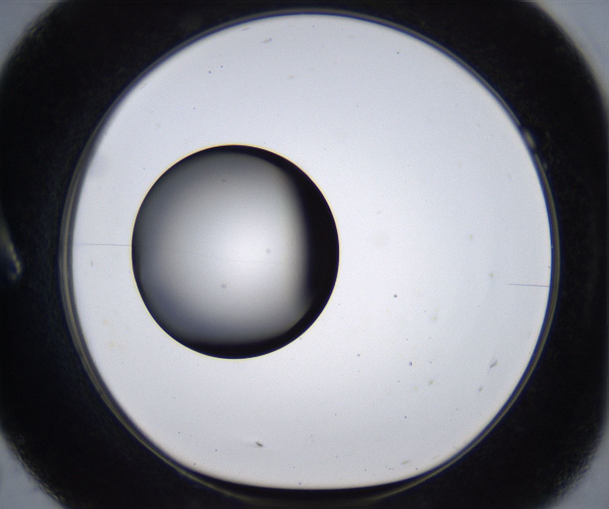 folderID384_plateID2384_batchID11266_wellNum7_profileID1_d1_r176041_ef.jpg