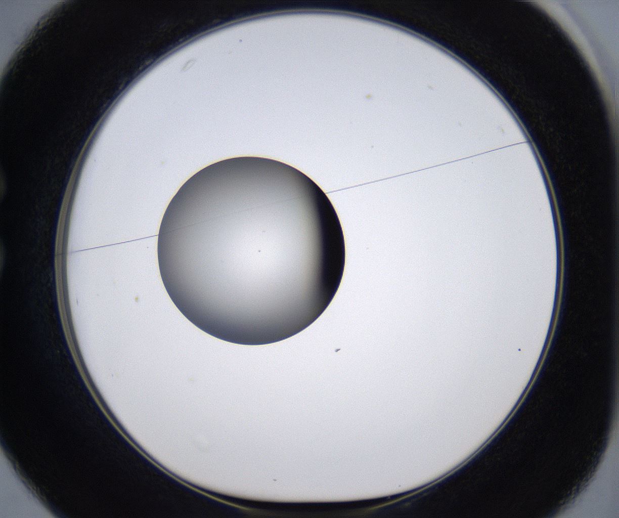 folderID386_plateID2386_batchID11268_wellNum25_profileID1_d1_r176155_ef.jpg