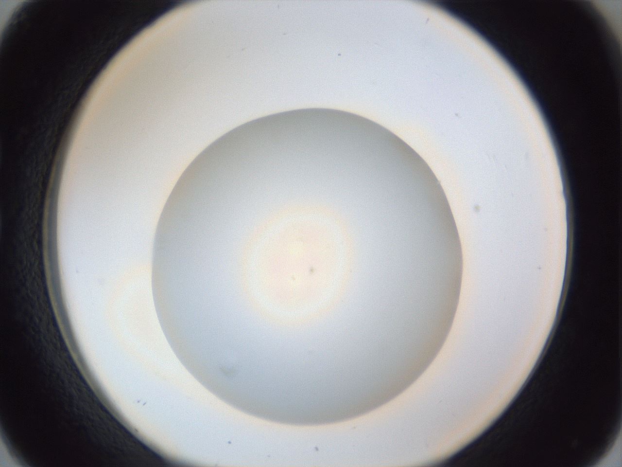 folderID385_plateID1385_batchID4987_wellNum26_profileID1_d1_r84713_ef.jpg
