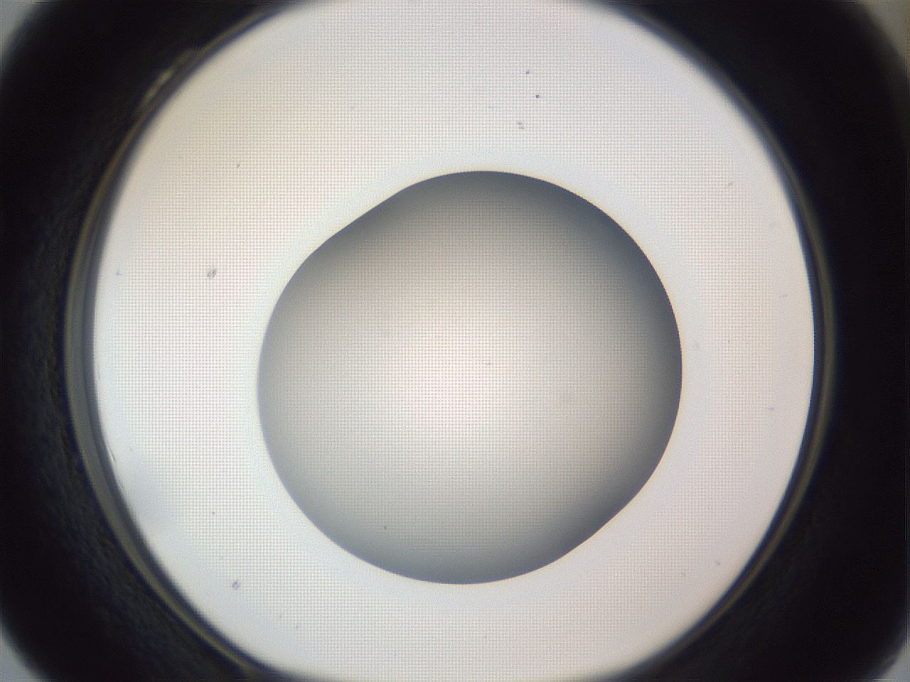 folderID385_plateID1385_batchID4987_wellNum28_profileID1_d1_r84715_ef.jpg