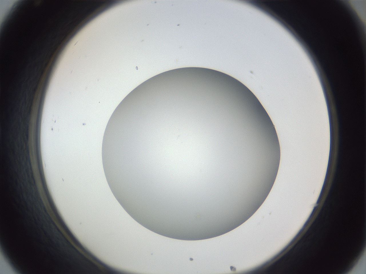 folderID385_plateID1385_batchID4987_wellNum32_profileID1_d1_r84719_ef.jpg