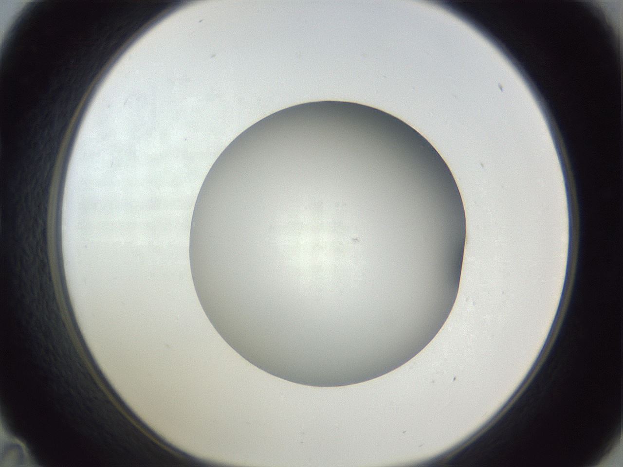 folderID385_plateID1385_batchID4987_wellNum35_profileID1_d1_r84722_ef.jpg