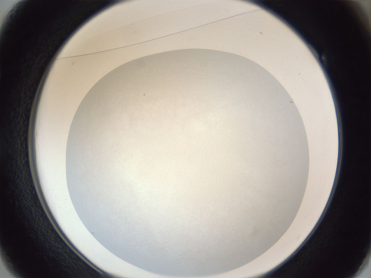 folderID385_plateID1385_batchID4987_wellNum49_profileID1_d1_r84736_ef.jpg